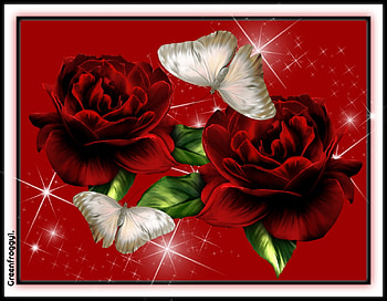 BUTTERFLIES AND ROSES, ART, ROSES, ABSTRACT, BUTTERFLIES HD wallpaper