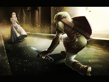 At Your Service, To always Protect You, My Princess, shield, service, guard, game, care, male, protect, warrior, female, sword, girl, beautiful, kneeling, link, like, woman, anime, fantasy, love, zelda, friendship, princess HD wallpaper