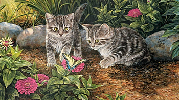 little cats, garden, kitten, cats, animals HD wallpaper