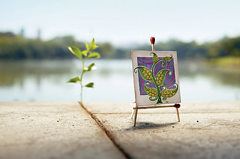 Miscellanea, Miscellaneous, , Drawing, Plate, Canvas, Slabs, Curls, Creative, Matches, Sprout HD wallpaper