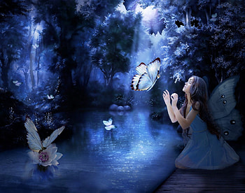 Fairy Butterfly, night, blue, butterflies, wings, butterfly, girl, lily, pond HD wallpaper