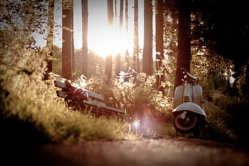 Scooter, nature, , vehicle HD wallpaper