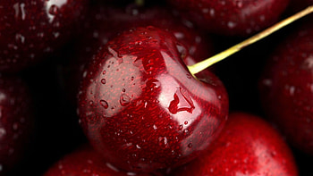 Cherry perfection, , Tempting and delicious, Nature's candy HD wallpaper