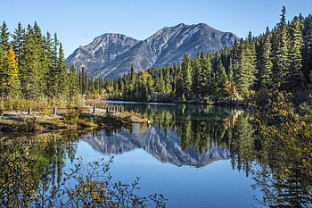 Nature, Trees, Mountains, Lake, Branches, Fir, Spruce HD wallpaper