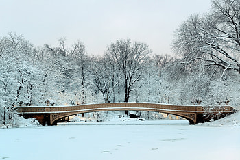 bridge, snow, winter, man made, Central Park HD wallpaper