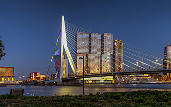 Rotterdam, , Erasmusbrug, Bascule bridge, Erasmus Bridge, Rotterdam cityscape, Rotterdam panorama, Netherlands HD wallpaper