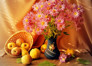 Still life, bouquet, vase, beautiful, fruits, basket, pretty, autumn, flowers, lovely, harmony HD wallpaper