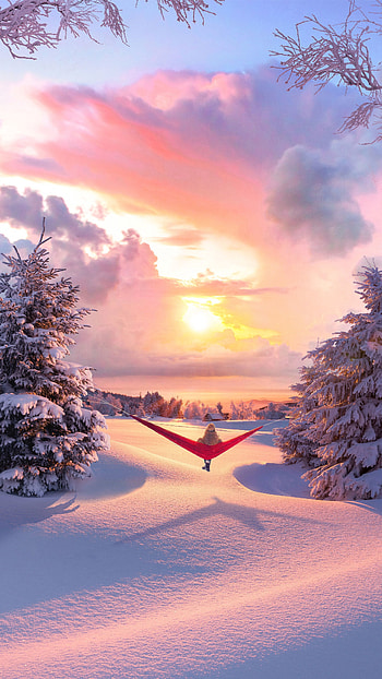 Landscape, Winter, Nature, Privacy, Seclusion, Relaxation, Rest, Hammock HD phone wallpaper