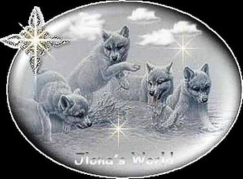 Lovely Wolf cubs, sweet, native, art, animals, dogs, cubs, lovely, wolfs HD wallpaper