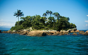 Landscape, Sea, Palms HD wallpaper