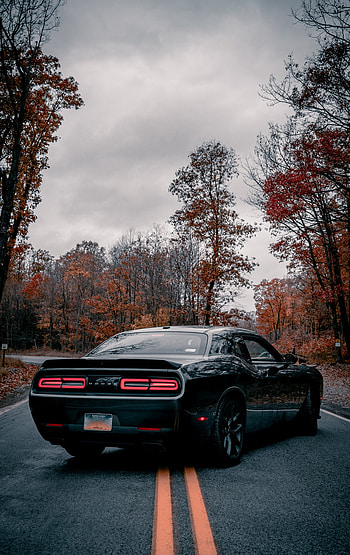 Challenger , Black Dodge Challenger HD phone wallpaper