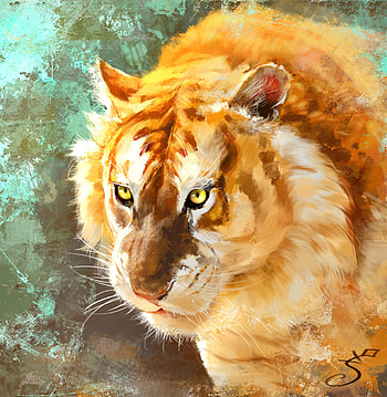 Art, Muzzle, Predator, Big Cat, Tiger HD phone wallpaper