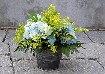 Flowers, Asphalt, Bouquet, Hydrangea, Mimosa, Bucket HD wallpaper