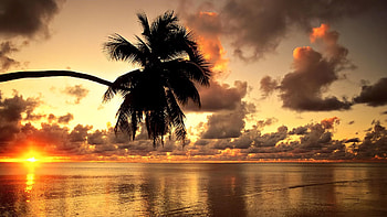 Tropical sunset beach beautiful scenery , Beach . HD wallpaper