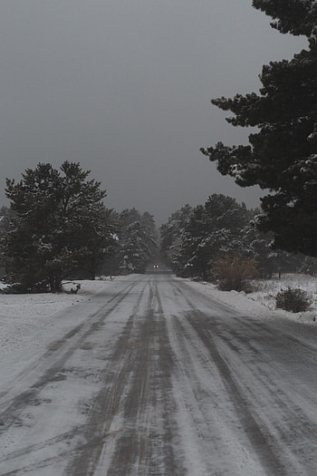 Winter, Nature, Trees, Snow, Road, Snow Covered, Snowbound HD phone wallpaper