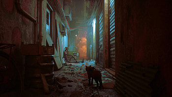 Stray — Quad : Neon Alley, Stray HD wallpaper