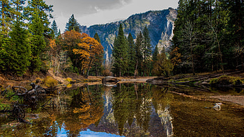 Beautiful Scenery Nature Yellow Green Leaves Trees Bushes Lake In Mountain Background With Reflection On Water Nature HD wallpaper