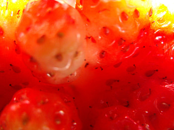 Fruits, Background HD wallpaper