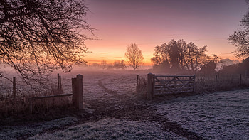 Golden Horizon Dedham Awakening Beauty, nature HD wallpaper