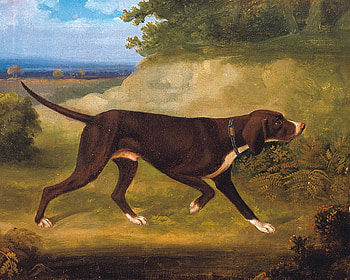 Edward Gill. 'An English pointer'., dog, english art, victorian, classic art HD wallpaper