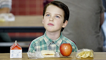 Young Sheldon, for fans HD wallpaper