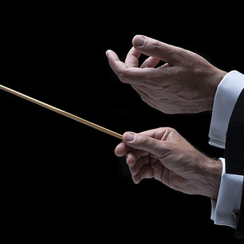 Orchestra , Musical instruments, Elegant ensemble, Symphony bliss HD phone wallpaper