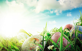 Happy Easter!, blue, egg, white, grass, spring, pink, flower, green, sky, easter, cloud HD wallpaper