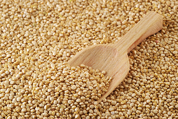 Quinoa , , Food backgrounds, Beautiful designs HD wallpaper