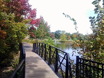 Mill Pond Bridge, Bridges, Connecticut, New England, Ponds, Parks, Water, Falltime HD wallpaper