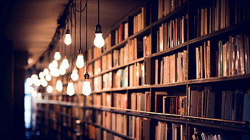 library , High-definition , Grandeur of libraries, Scholarly atmosphere HD wallpaper