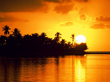 Landscape, Sunset, Palms HD wallpaper