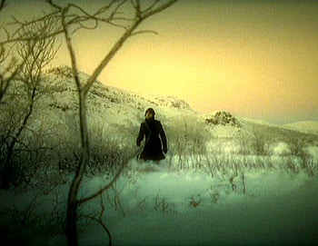 ALONE IN THE SNOW, black, snow, trees, lonely, mountain HD wallpaper