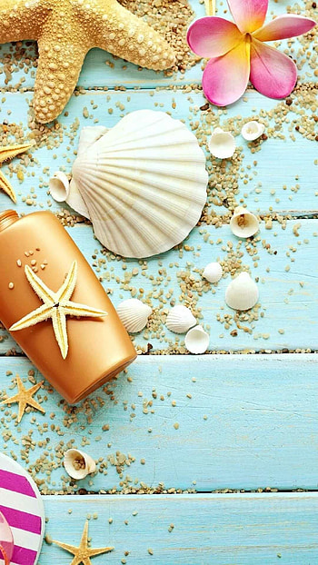 Starfish, Animals, Summer HD phone wallpaper