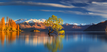 Blue and Gold, water, mountains, lake, reflections, tree HD wallpaper