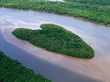 Natural Heart, cool, natural, heart HD wallpaper