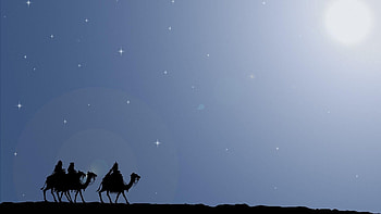 Sky, Camels, Vector, Stroll, Riders HD wallpaper