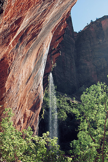 Nature, Trees, Bush, Rocks, Waterfall, Cliff HD phone wallpaper