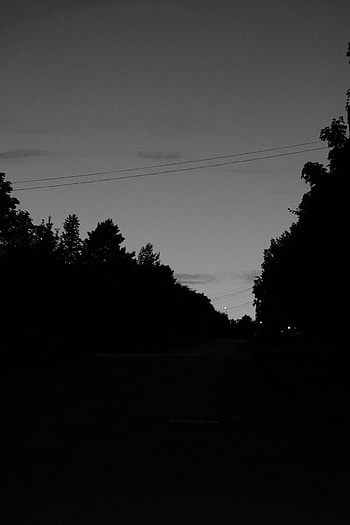 Nature, Trees, Sky, Silhouette, Bw, Chb HD phone wallpaper