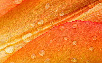 ... texturas y para tus diseÃ±os en taringa ... HD wallpaper