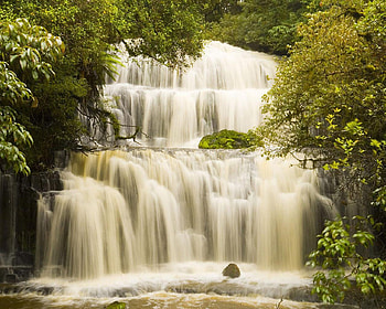 Purakaunui Falls New Zealand, falls, white, purakaunui, newzealand, waterfalls, rocks, leaves, trees, water HD wallpaper