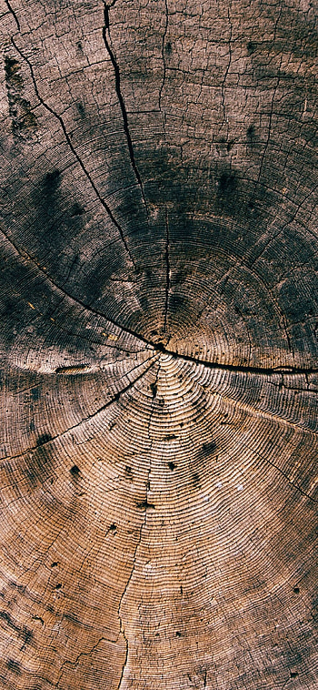 Dark wood , Mobile background, Stylish, High-quality HD phone wallpaper