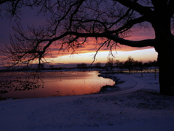 Winter Lake, winter, reflection, snow, trees, nature, lake HD wallpaper