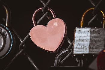 Hearts, Pink, Love, Lock, Cerde HD wallpaper