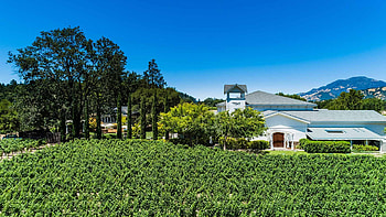 Calistoga tasting room, Napa Valley, Wine experience, Wine lovers HD wallpaper