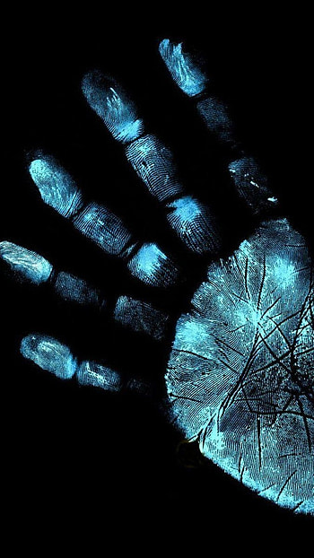 Fingerprint, Full Hand Fingerprint HD phone wallpaper