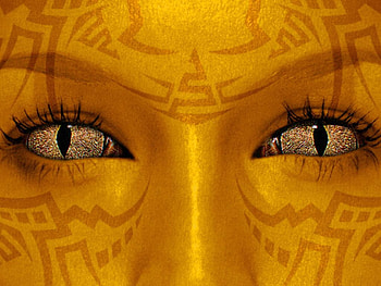 Cat Eyes, golden, eyes, cat, abstract HD wallpaper