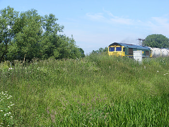 Here it comes., field, trees, sky, grass, train, speed HD wallpaper