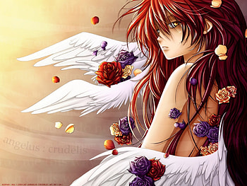 Angel, fruit, roses, red HD wallpaper