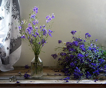 Blue flowers, Vas, Table, Flowers, Curtain, Vase, Purple, Blue HD wallpaper