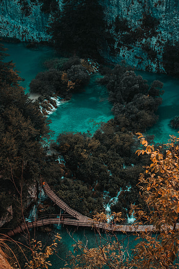 Nature, Water, Trees, View From Above, Coast, Bridge HD phone wallpaper